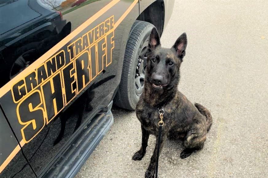 Thor and patrol car 2