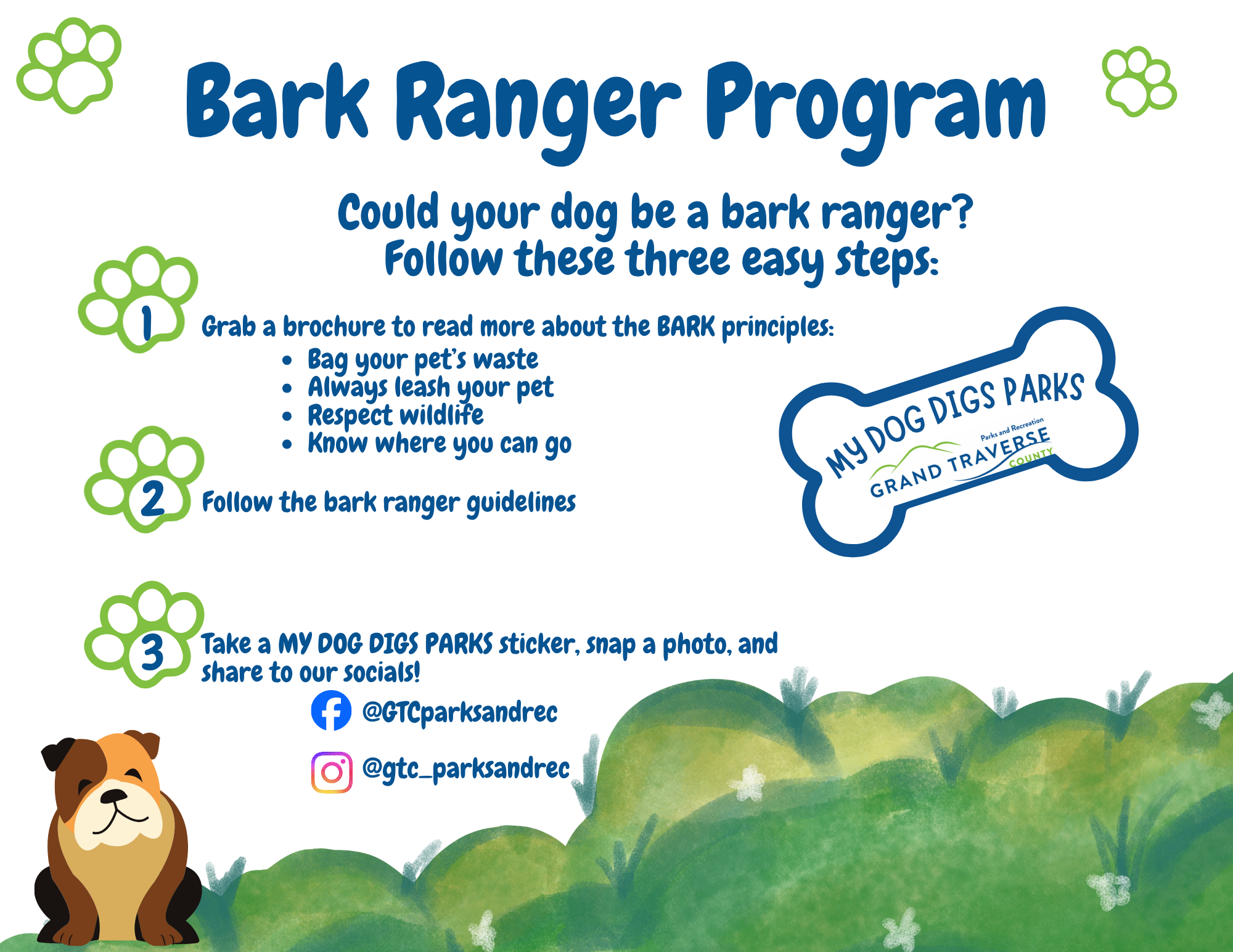 Bark Ranger landscape