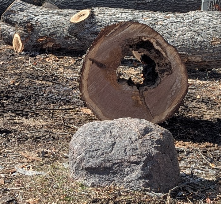 Screenshot 2025-03-10 112322